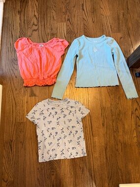 Build of 3 girls  Tops — Coral, Light Blue & Floral. Size L 10/12